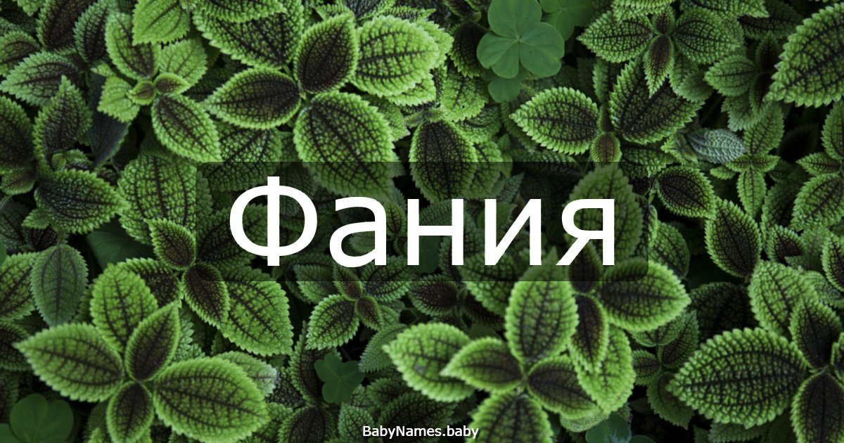 Фания