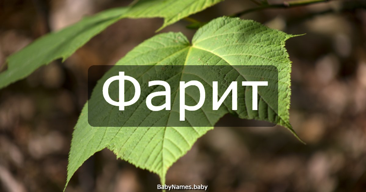 Фарит