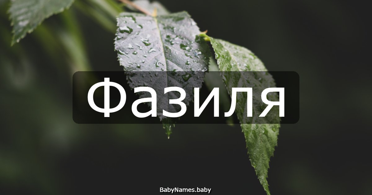 Фазиля