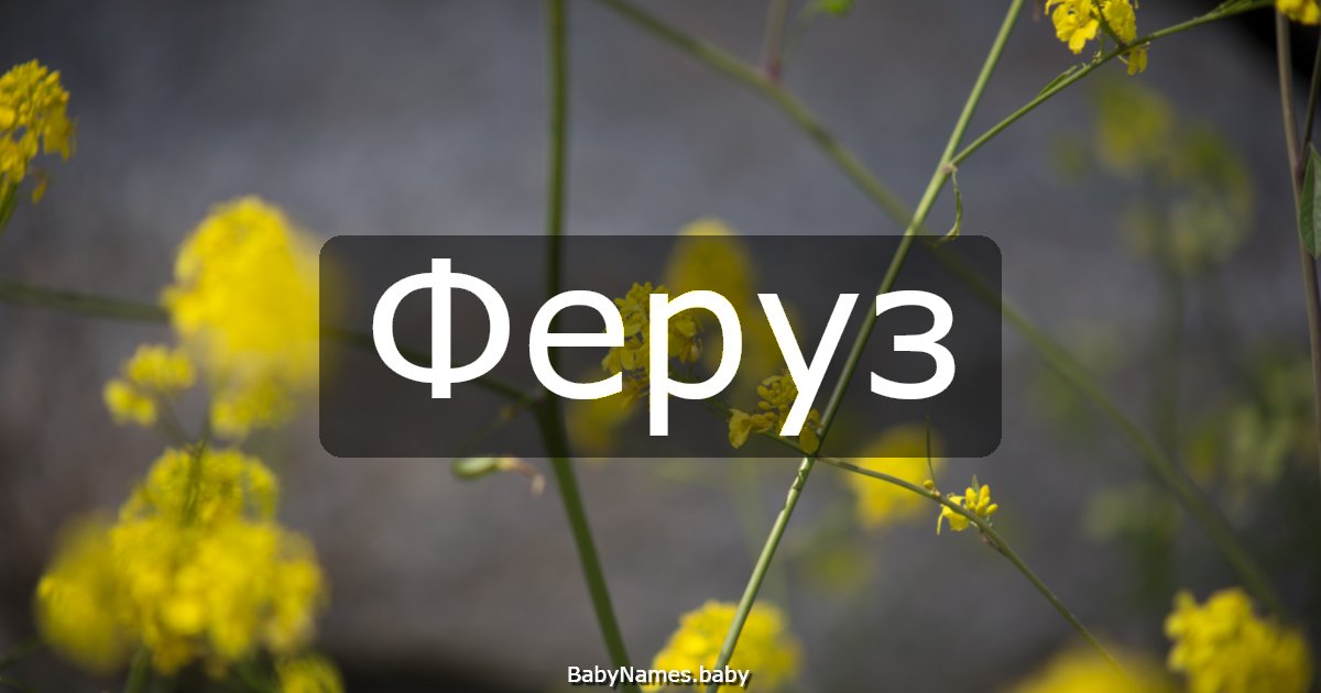 Феруз