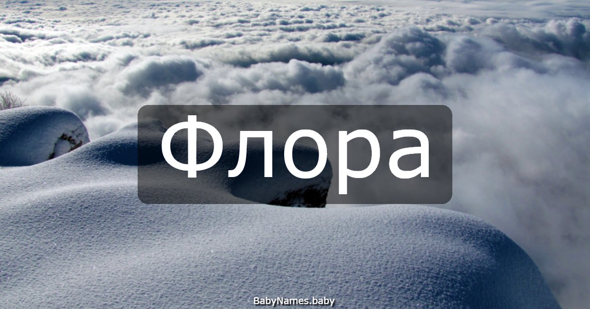 Флора