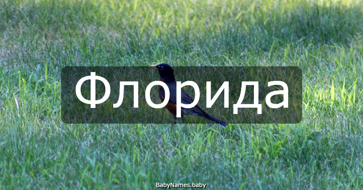 Флорида