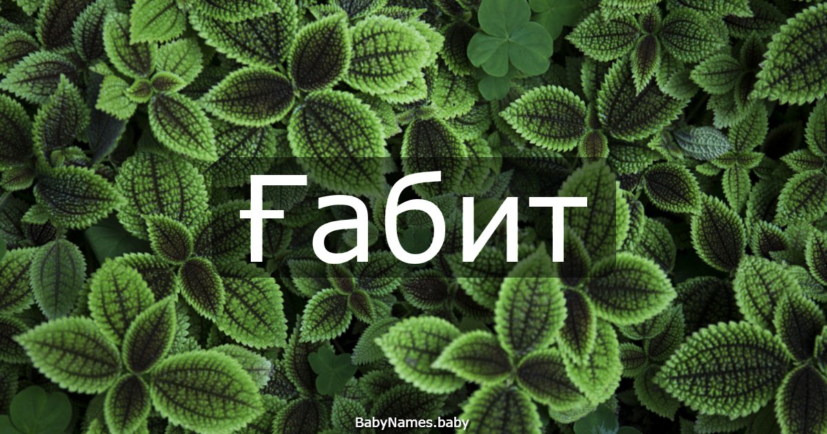 Ғабит