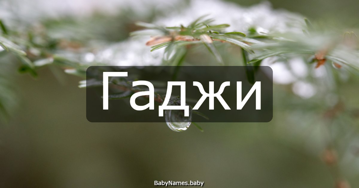 Гаджи