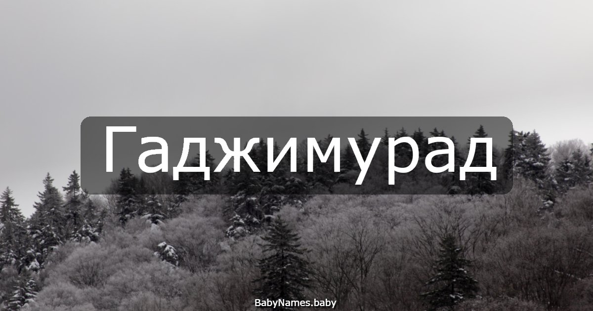 Гаджимурад