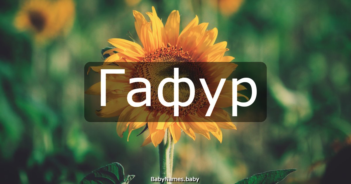 Гафур