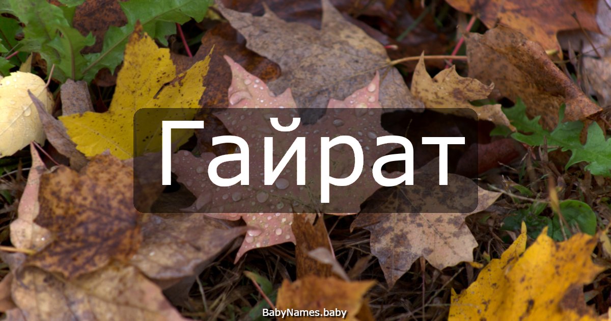 Гайрат