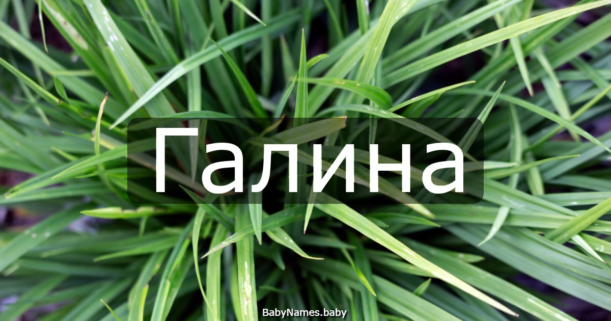 Галина