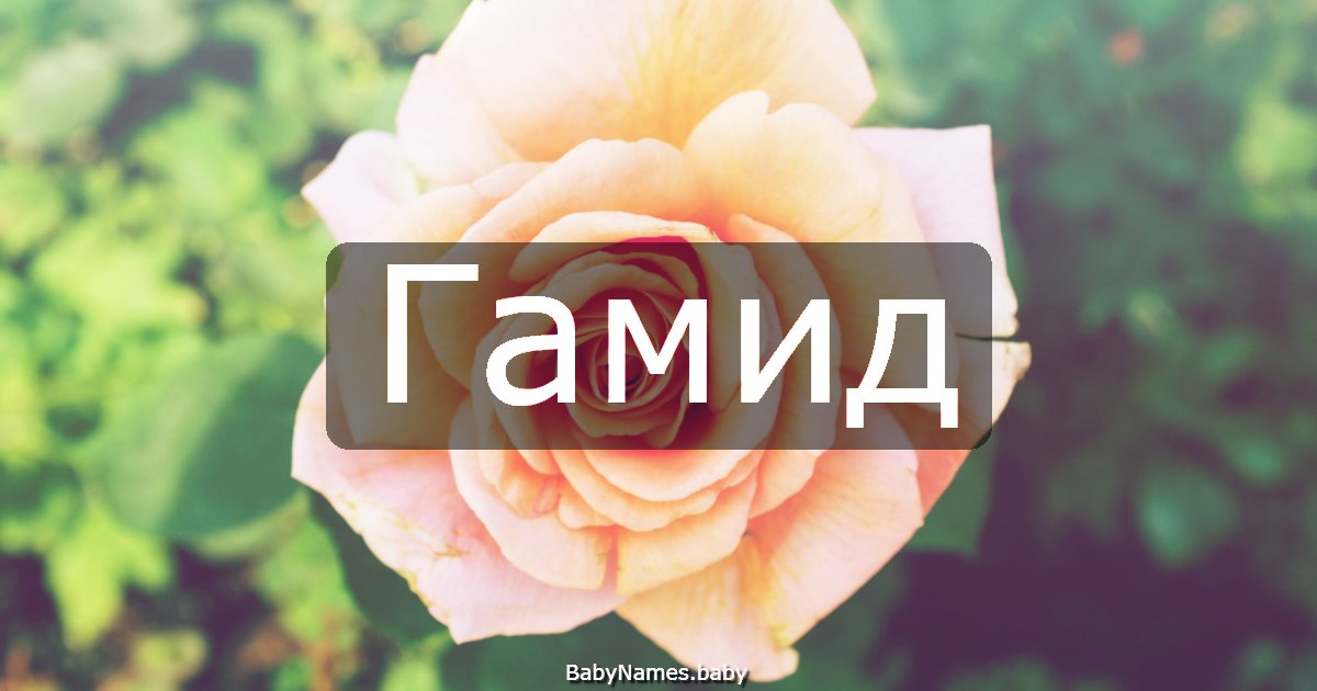 Гамид