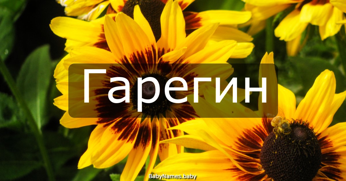 Гарегин