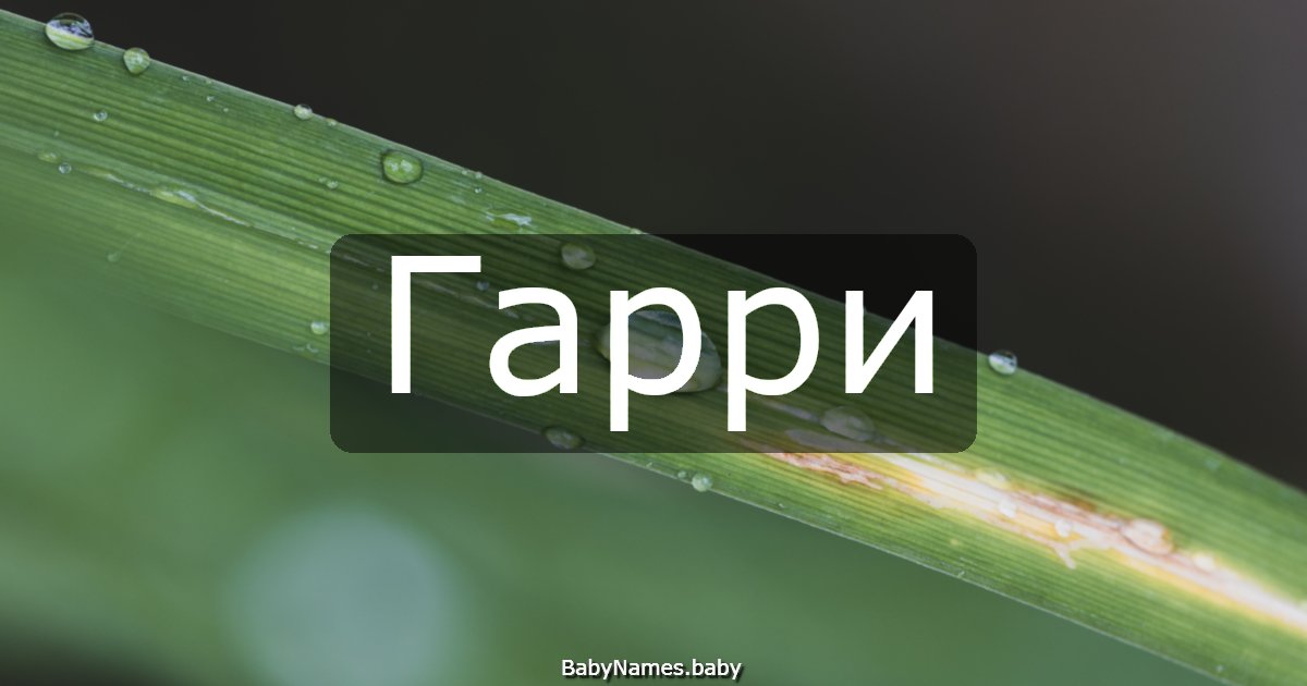 Гарри