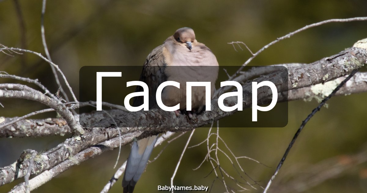 Гаспар