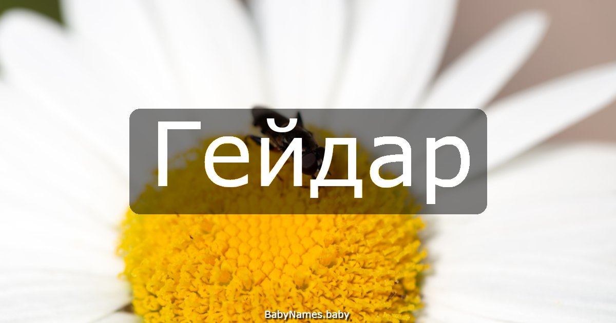 Гейдар