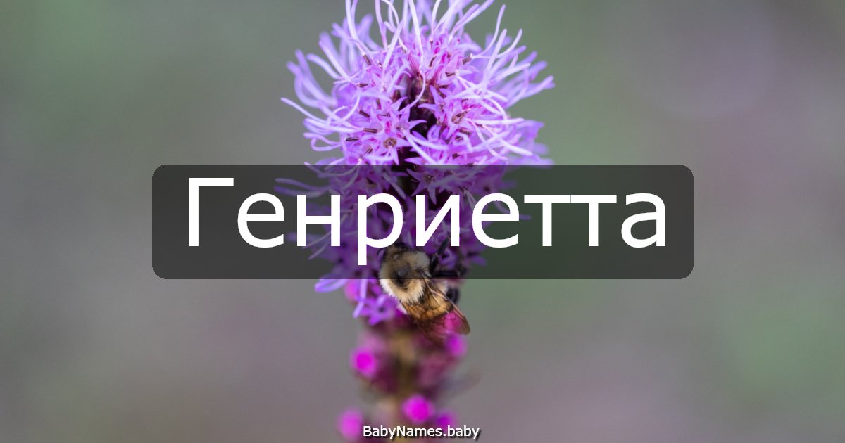 Генриетта