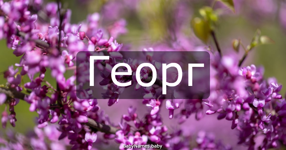 Георг