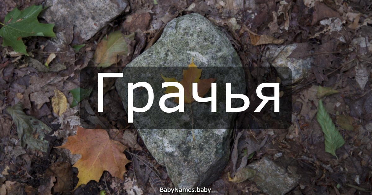 Грачья