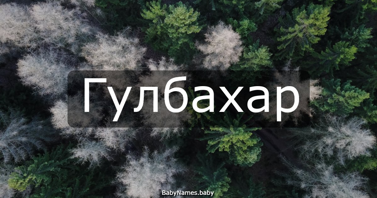 Гулбахар