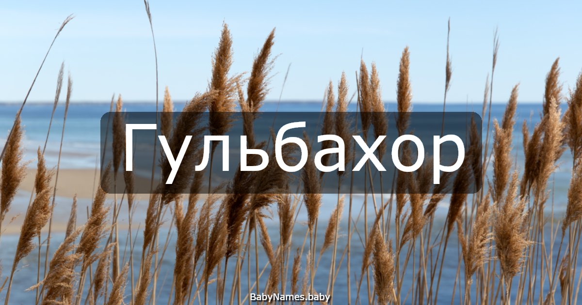 Гульбахор