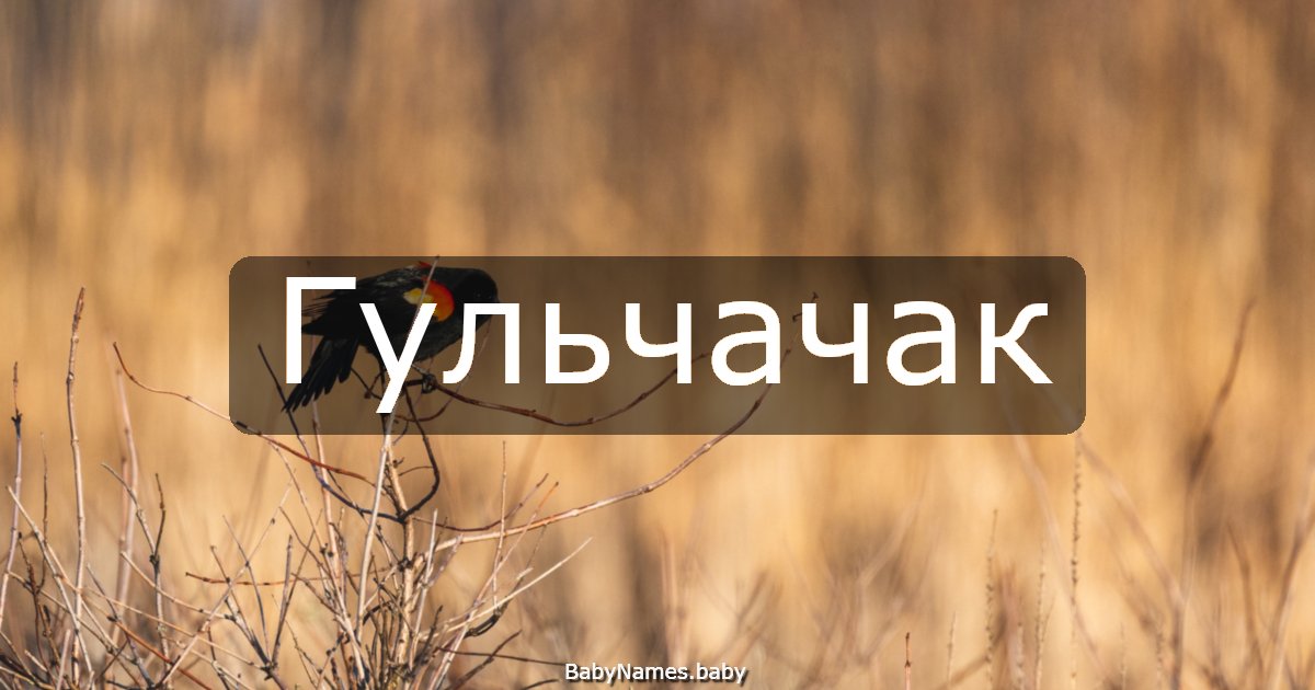Гульчачак
