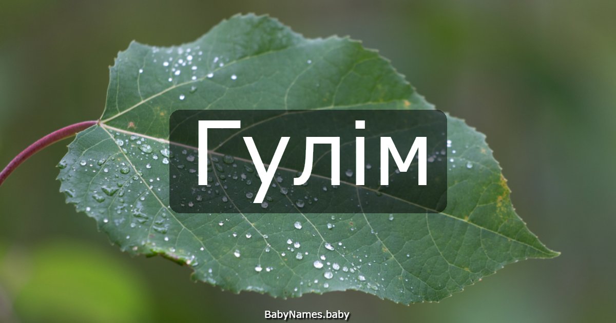Гулім