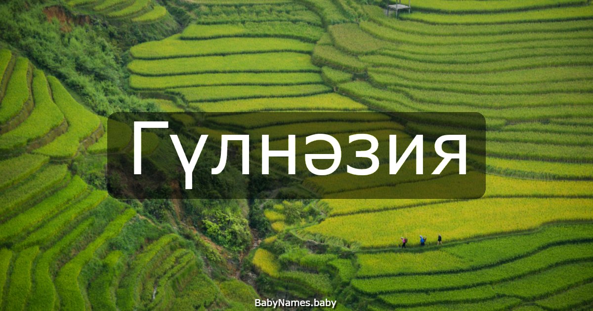 Гүлнәзия