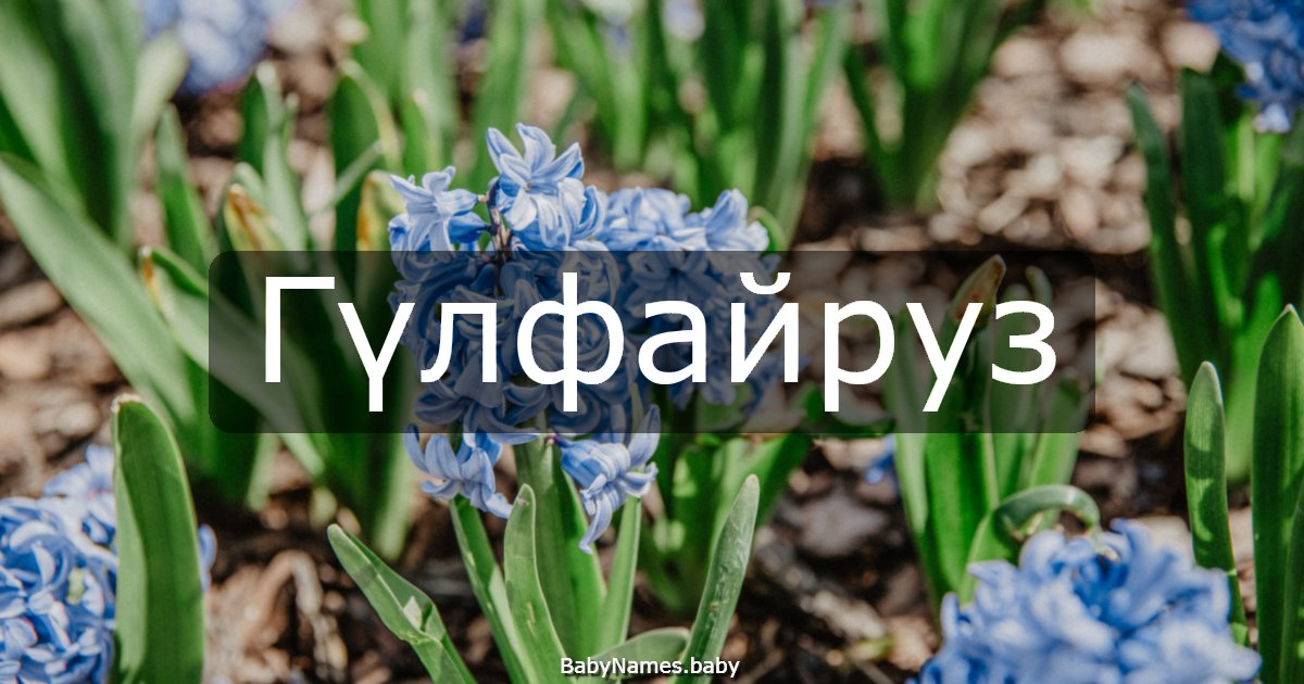 Гүлфайруз