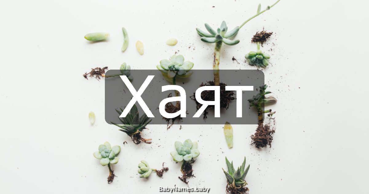 Хаят
