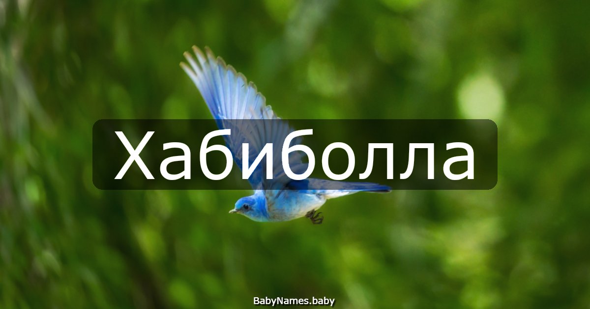 Хабиболла