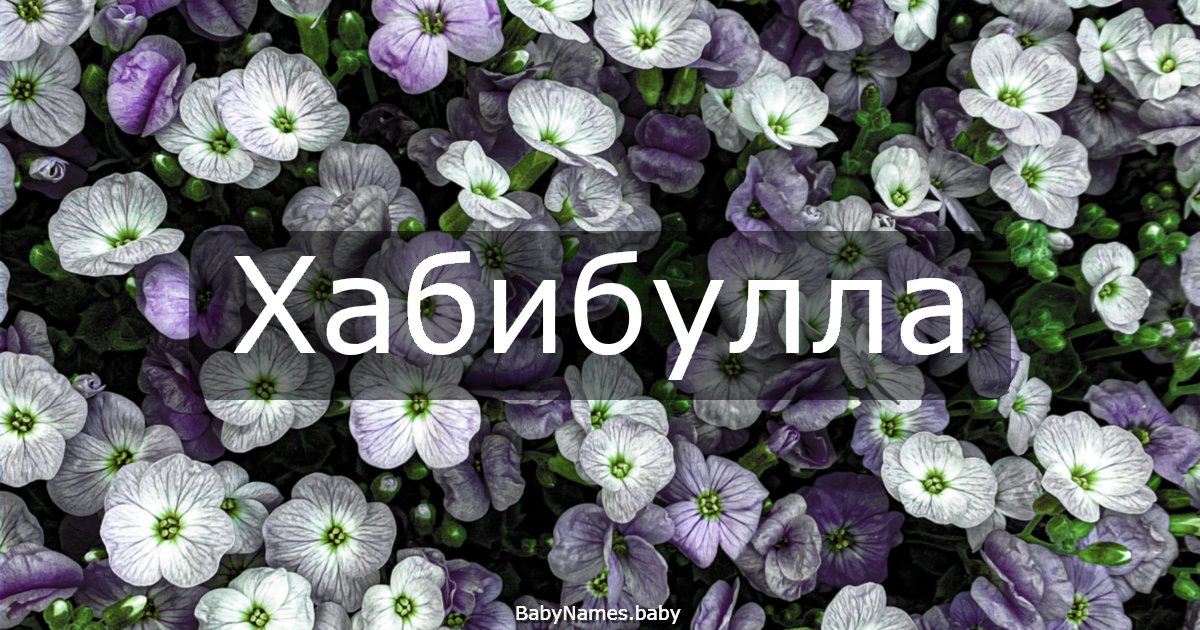 Хабибулла