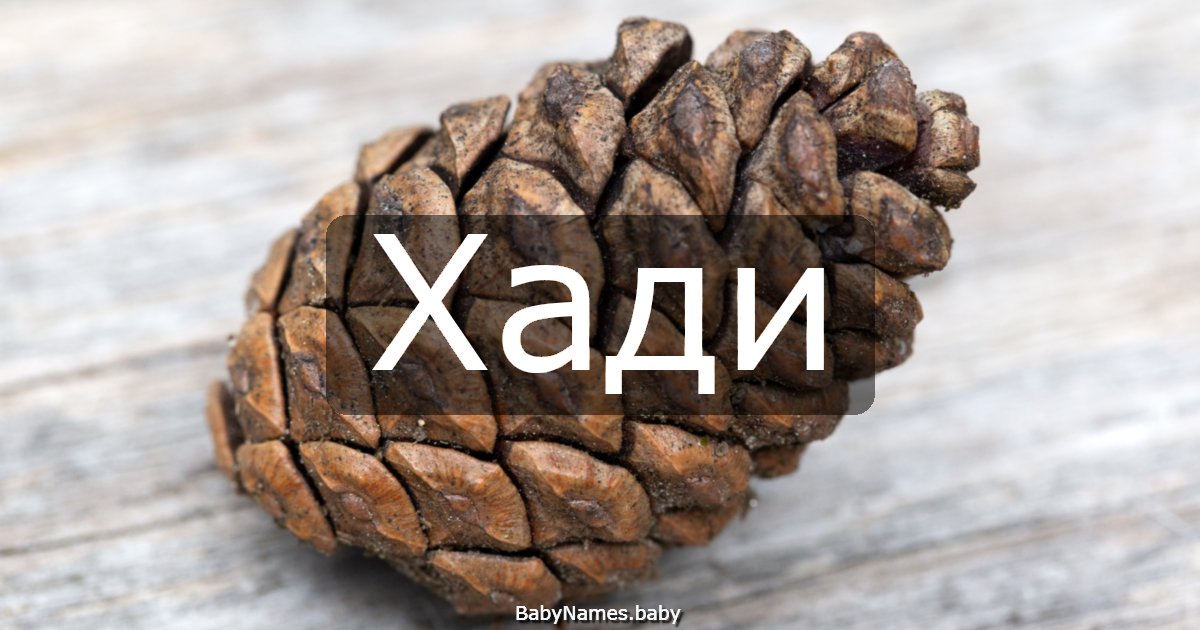 Хади