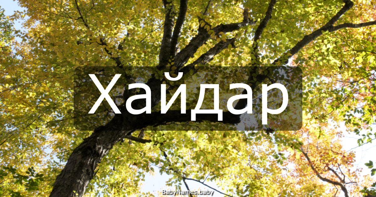 Хайдар