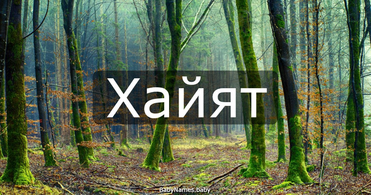 Хайят