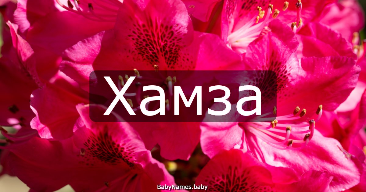 Хамза