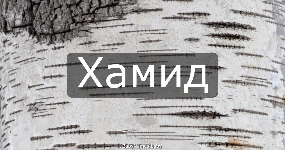 Хамид