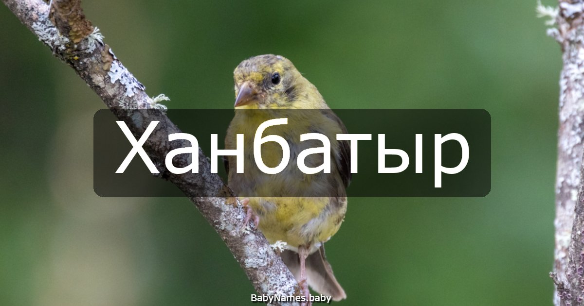 Ханбатыр