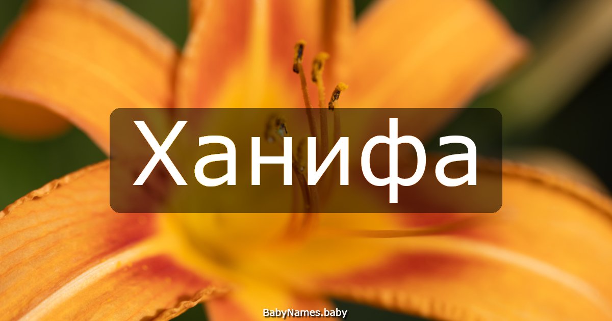 Ханифа