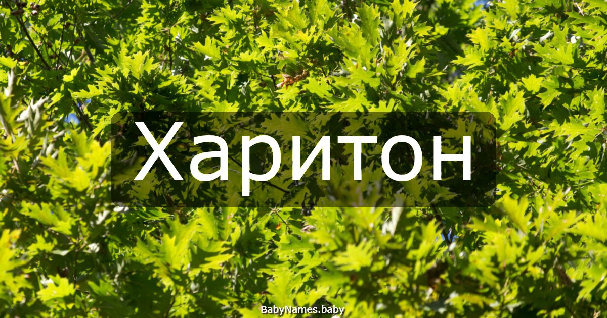 Харитон