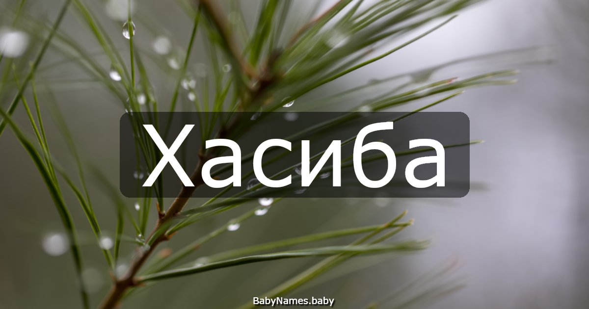 Хасиба