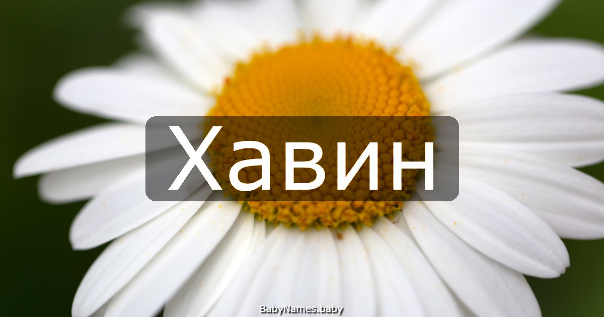 Хавин