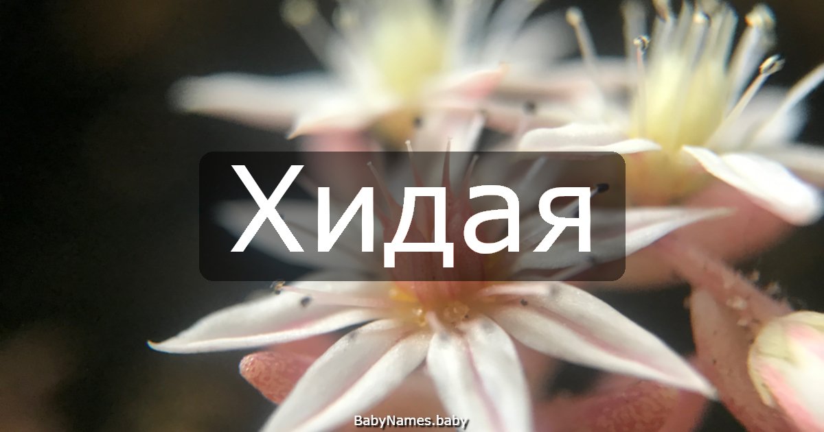 Хидая