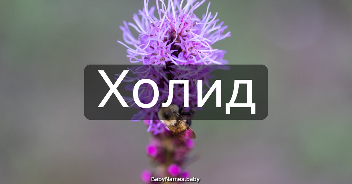 Холид
