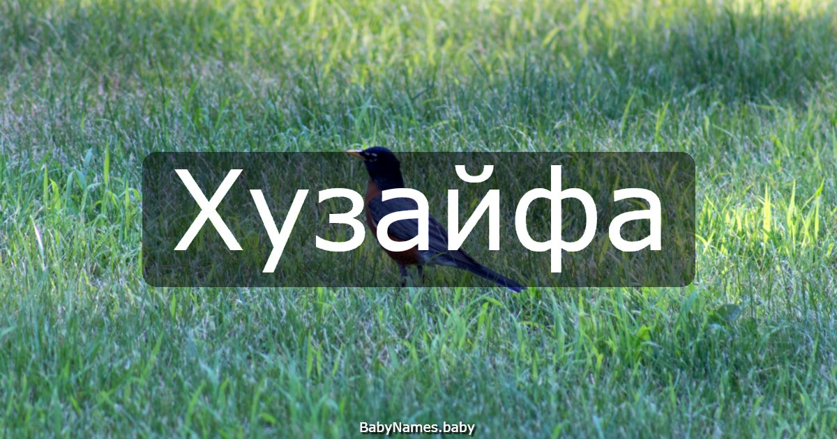 Хузайфа
