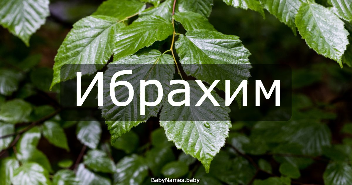 Ибрахим
