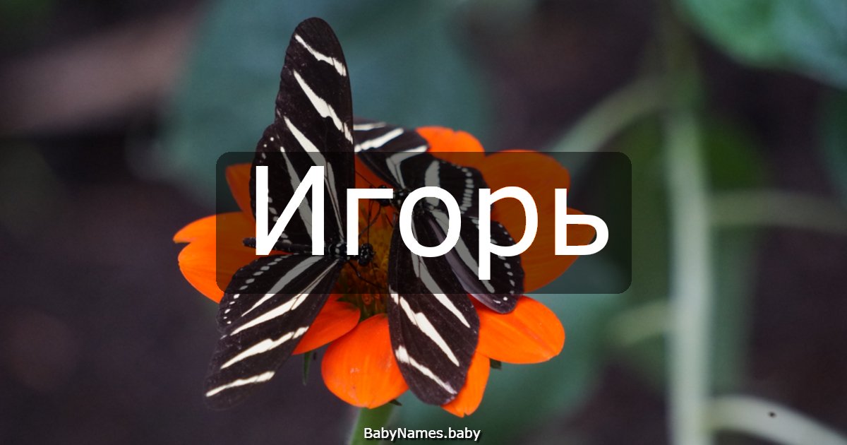 Игорь