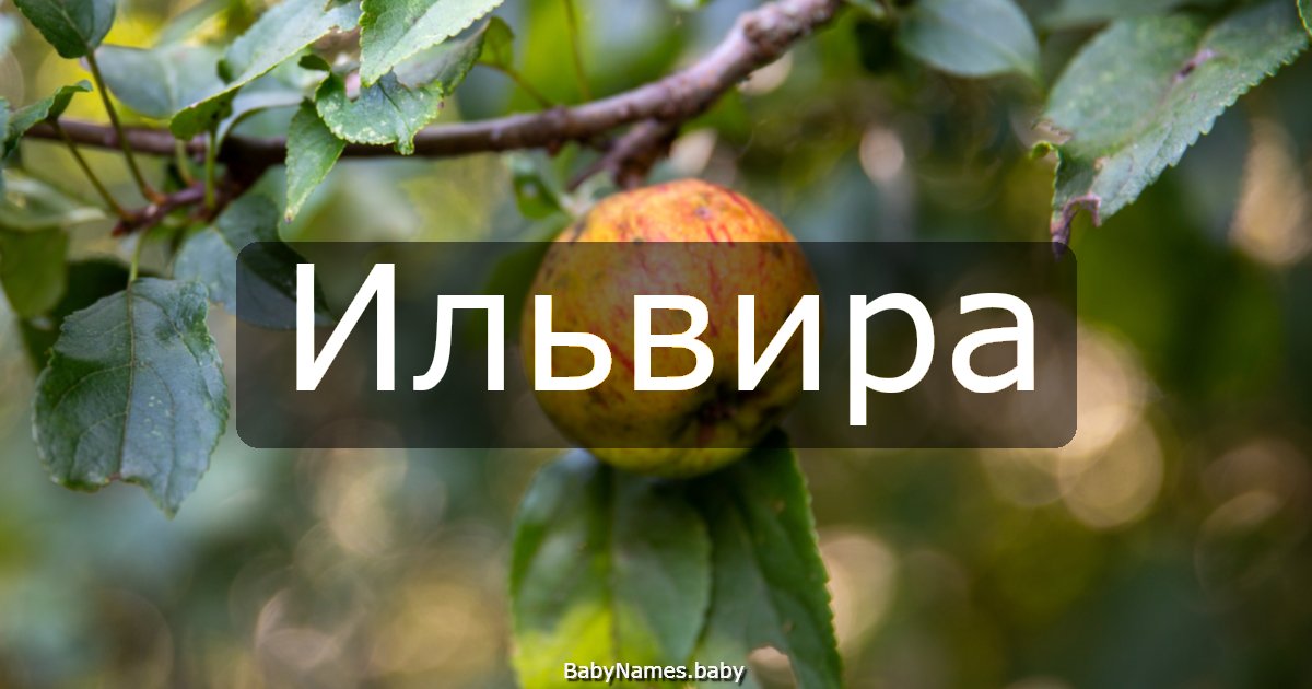 Ильвира