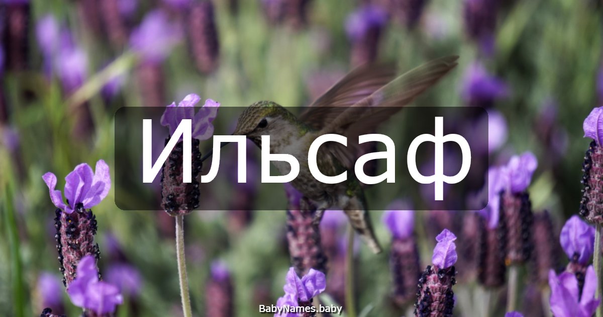 Ильсаф