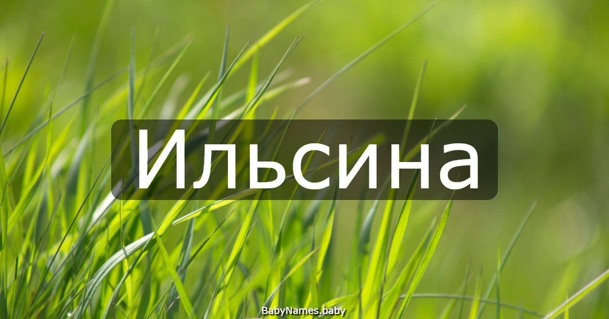 Ильсина