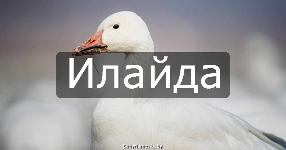 Илайда
