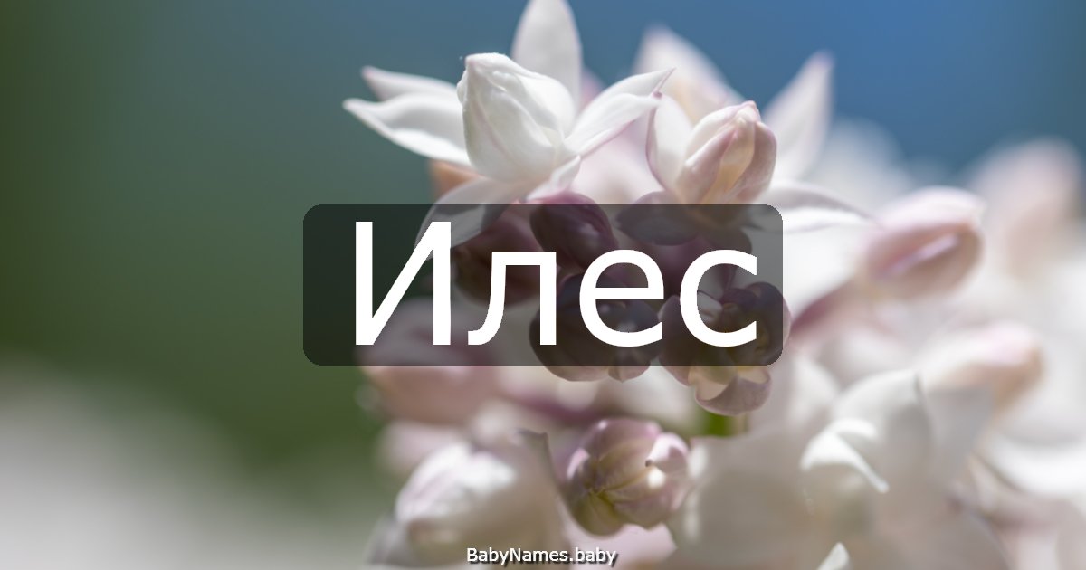 Илес