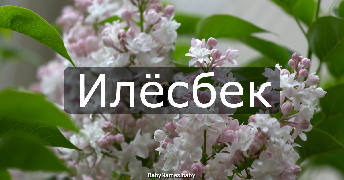 Илёсбек